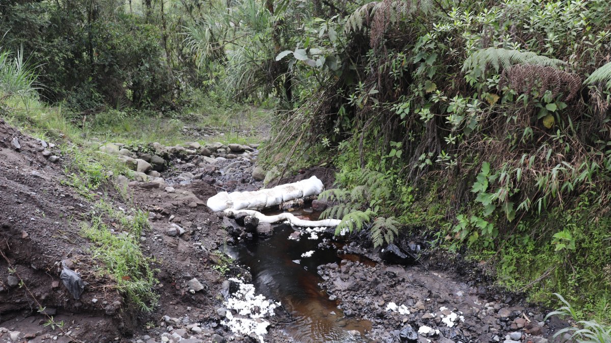 Residuos. El Ministerio de Ambiente supervisa las labores de limpieza en el sector Piedra Fina, provincia de Napo.