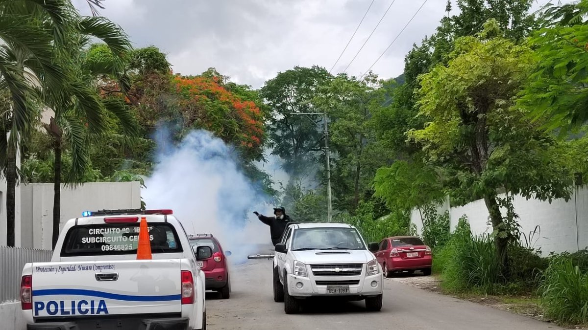 El MSP realiza fumigaciones en la vía a la costa para prevenir la proliferación de mosquitos