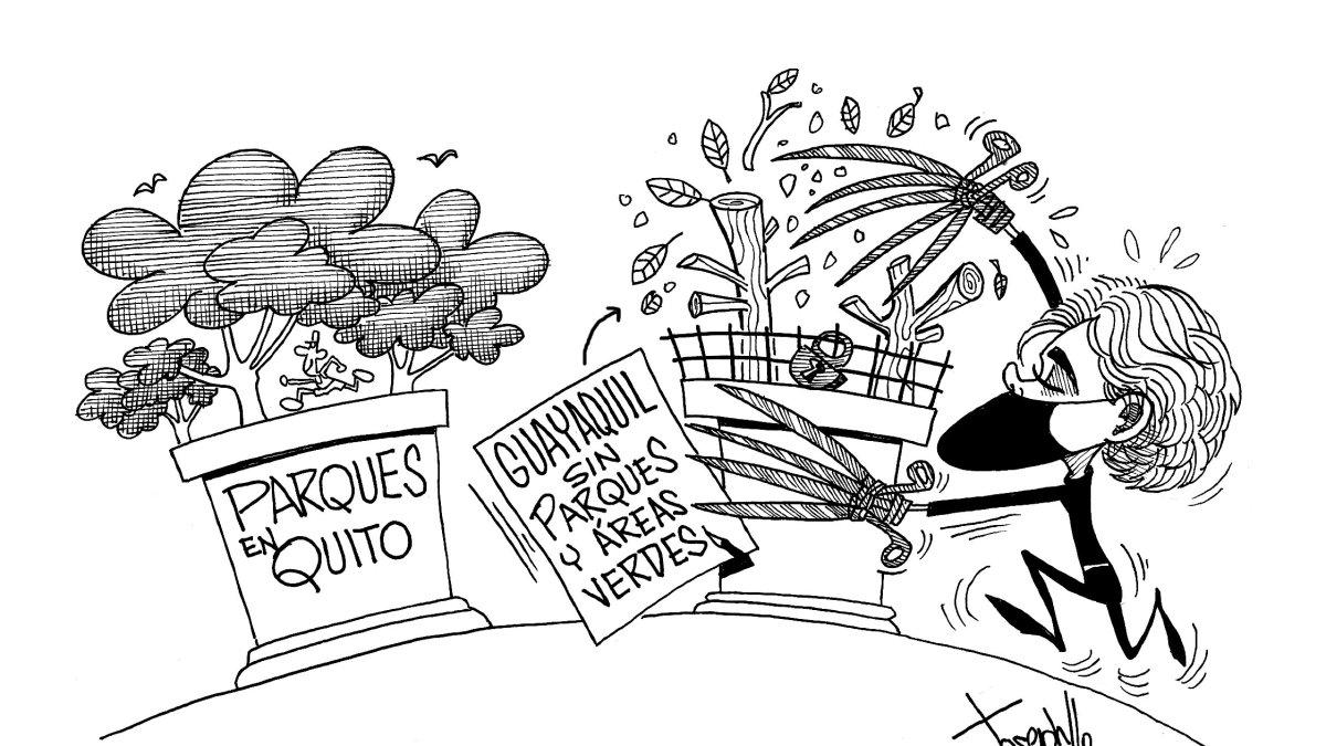 La ciudad necesita pulmones verdes, urgente.