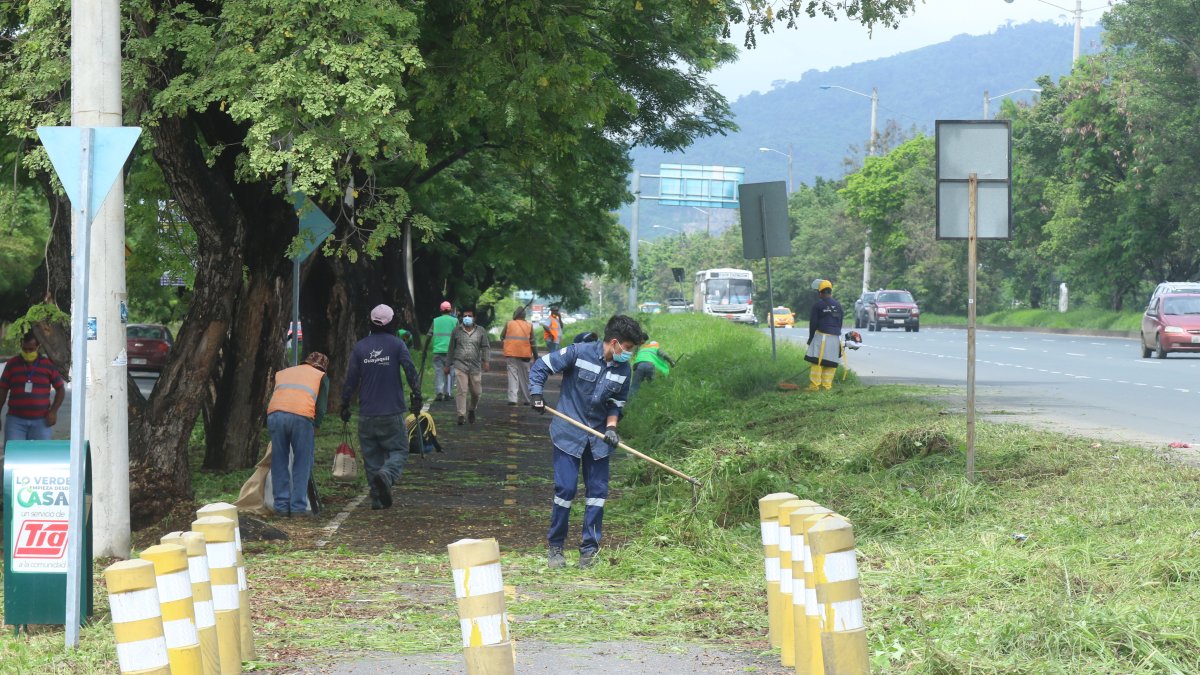 Acciones. Ayer hubo un brigada de fumigación y para cortar maleza a lo largo de toda la vía a la costa.