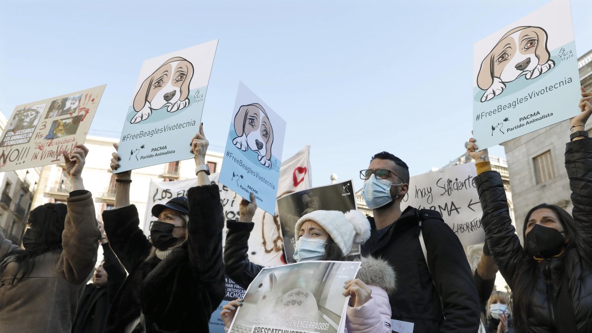Protesta el pasado mes de enero de diferentes entidades animalistas y ecologistas para exigir al Parque Científico de Barcelona que pare el experimento con más de 30 perros de la raza beagle.