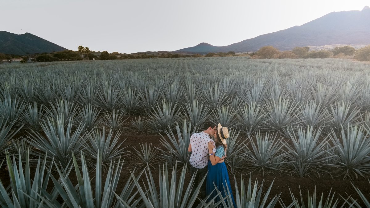 Jaz y Stevie en Tequila, México.