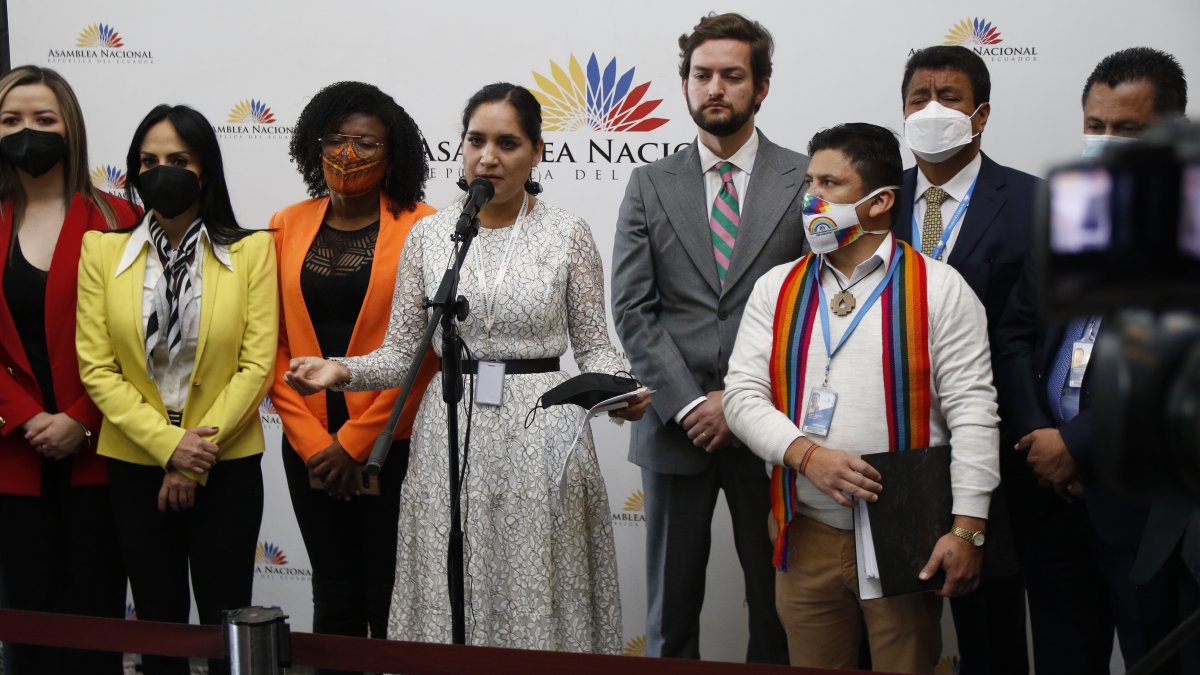 Cuatro correístas: Muñoz, Ortiz, Holguín, Cabezas. Tres Pachakutik: Pazmiño, Ruiz, Pereira. Tres socialcristianos: Torres, Zapata, Almeida.