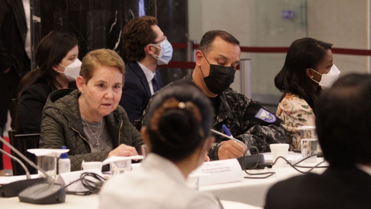 La ministra de Gobierno, Alexandra Vela, dijo además que 