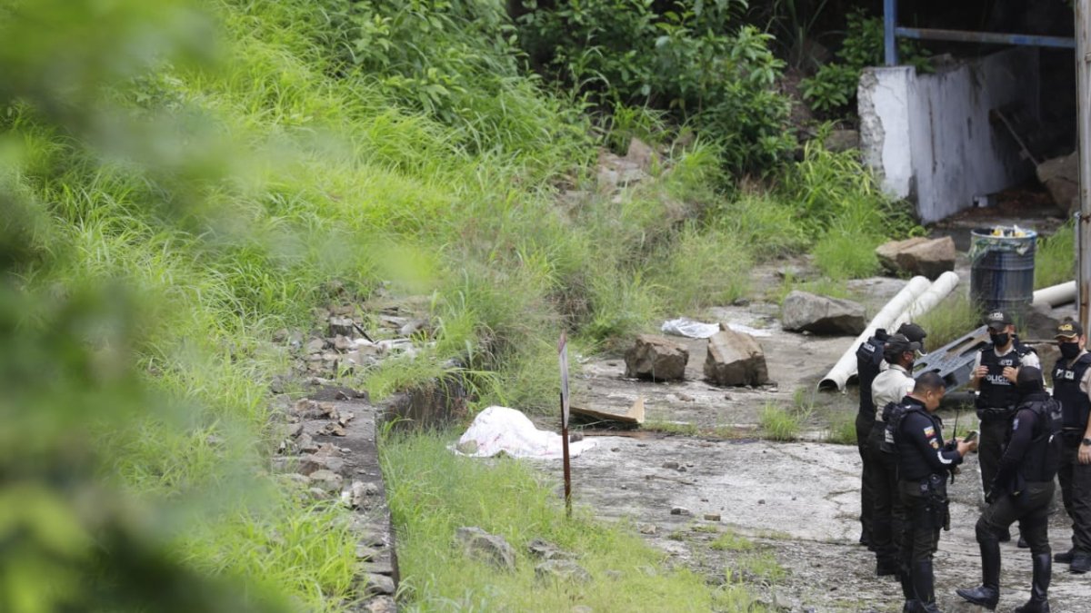 Hecho. El cuerpo de la joven quedó tendido en la parte trasera de una empresa de plásticos.