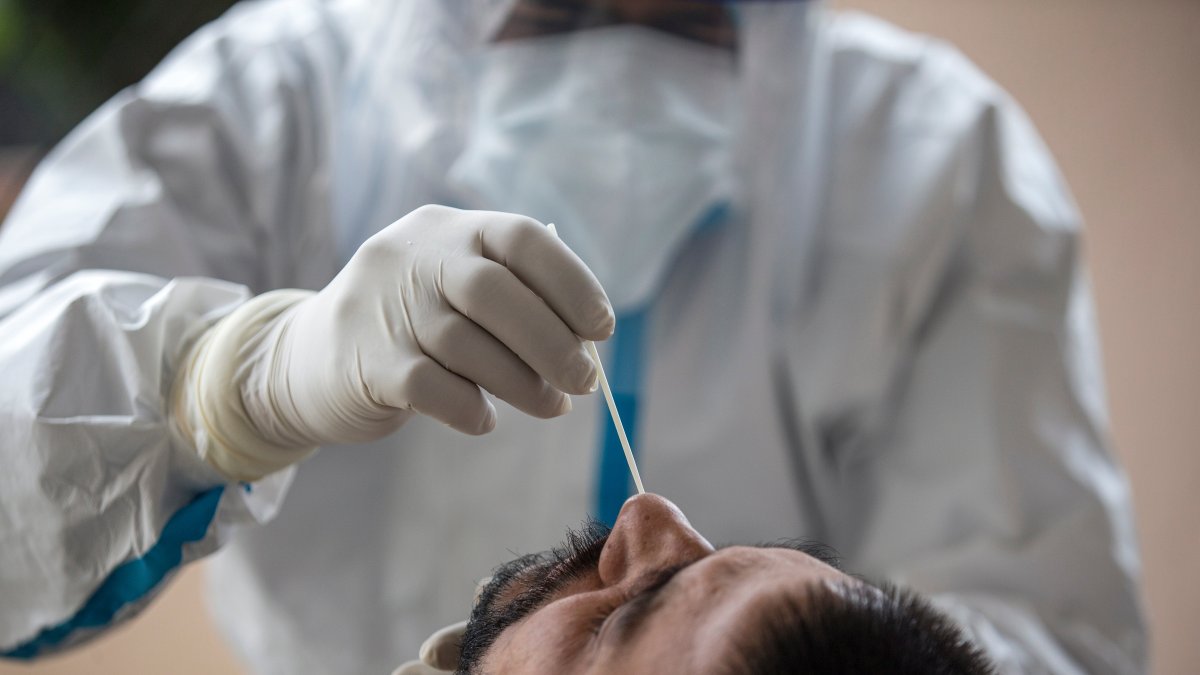Imagen de archivo de una prueba PCR de covid-19.