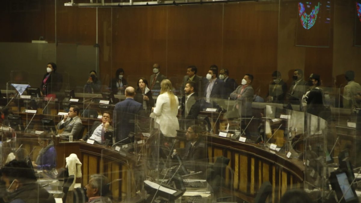 Votación. La tarde del 17 de febrero de 2022, la Asamblea Nacional aprobó el proyecto de ley para la interrupción del embarazo.