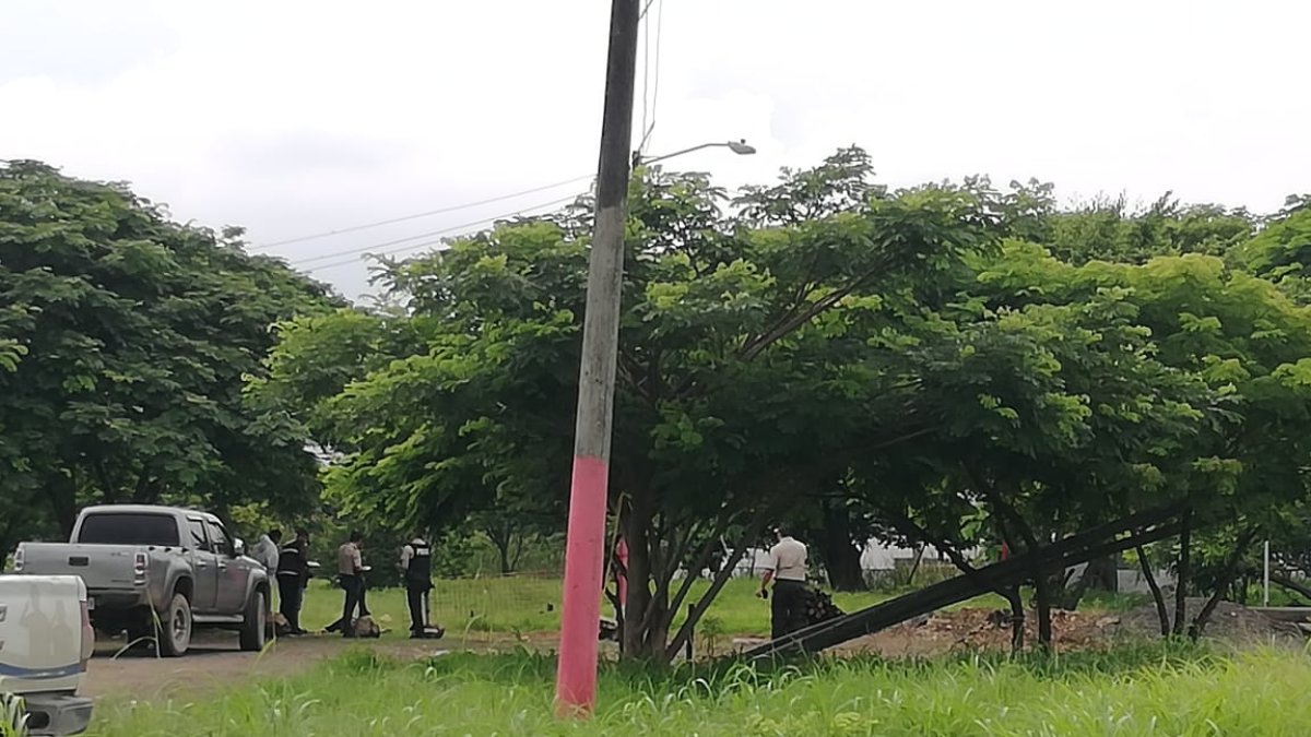 Los agentes del orden llegaron al sitio donde se escucharon disparos y hallaron el cadáver de un hombre que había sido tiroteado. También hallaron una camioneta y a otro hombre.
