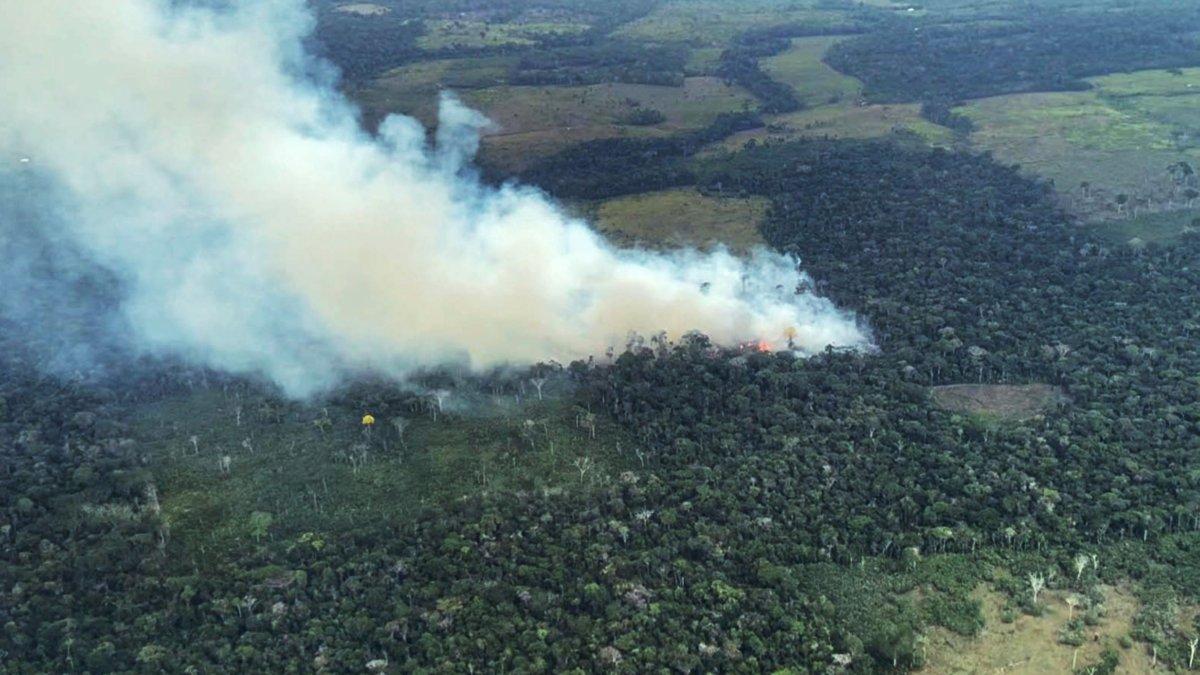 Fotografía de archivo sin fecha cedida por la Fundación para la Conservación y el Desarrollo Sostenible (FCDS), que muestra un incendio forestal en zona rural de Calamar (Colombia).