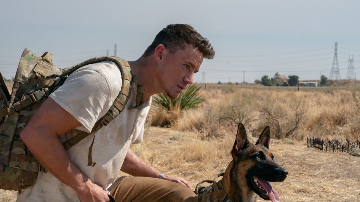 Fotograma cedido por Metro Goldwyn Mayer donde aparece Channing Tatum como Briggs y el pastor belga Lulu, durante una escena de la película 