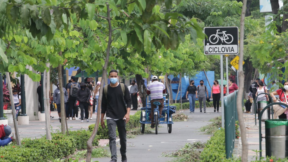 Ruta. Por los 700 metros de recorrido de la ciclovía de la avenida Delta caminan estudiantes de la Universidad de Guayaquil que ahora han retornado a las clases presenciales.