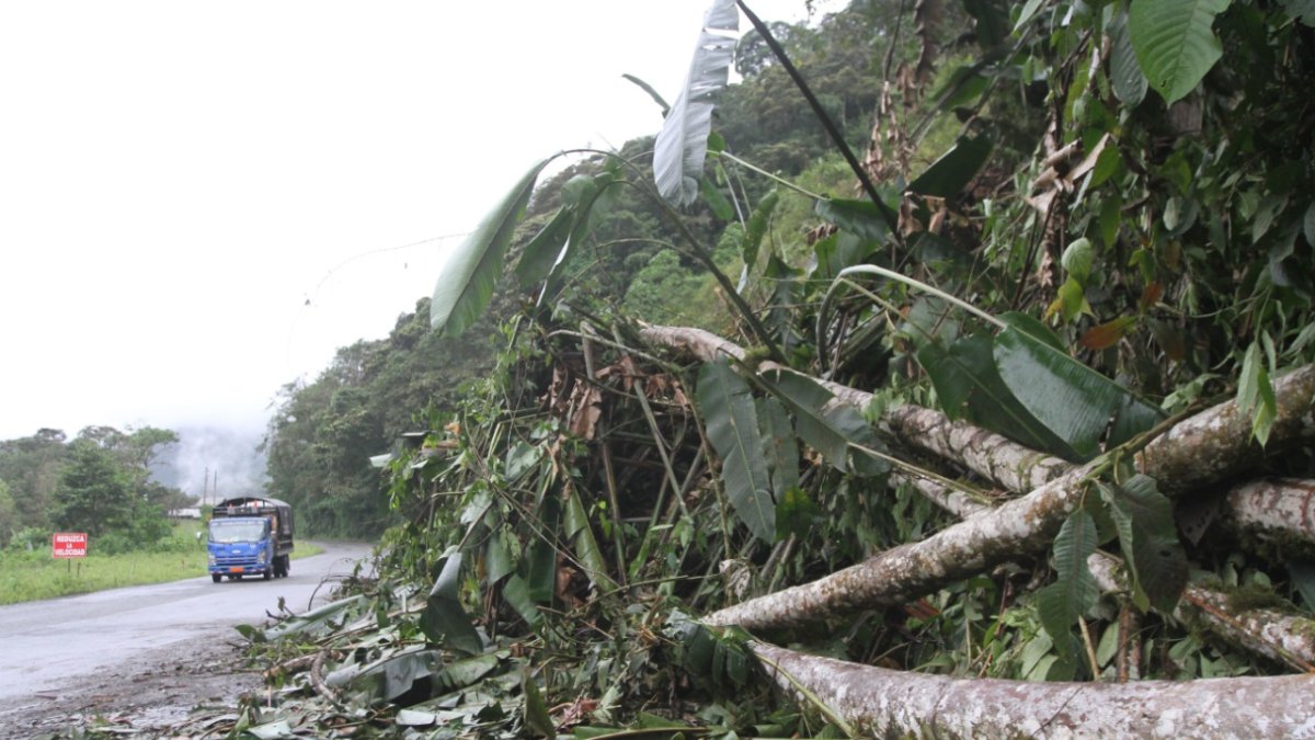 Arboles caídos, tierra y piedras al filo de la vía hasta ser removido.