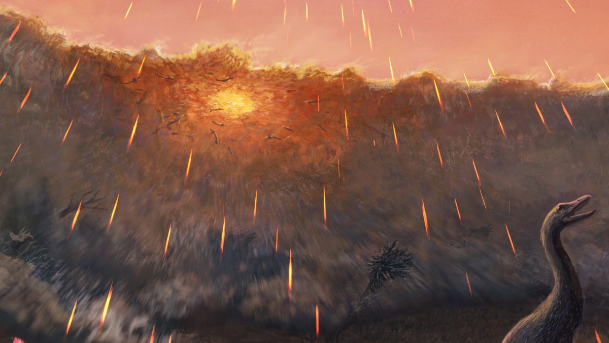 Reconstrucción artística de la ola entrando en el río Tanis, arrastrando peces y todo lo que encuentra a su paso (dinosaurios, árboles) mientras llueven del cielo esférulas de impacto.