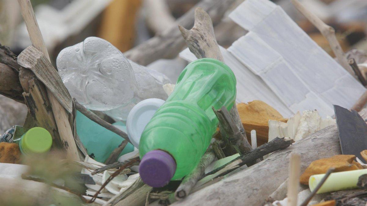 Fotografía de la basura acumulada en la playa de Costa del Este. el 14 de febrero de 2022, en la bahía de Panamá, una de las más contaminadas en la Ciudad de Panamá (Panamá).