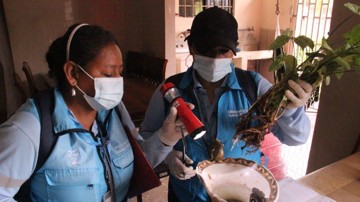 El Ministerio de Salud afirma que personal de la entidad acudió por dos semanas al sector de vía a la Costa y no halló al mosquito portador