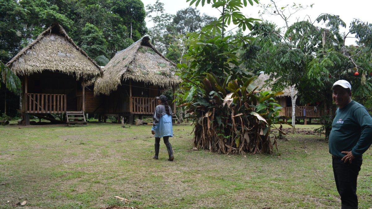 Para cuidar el legendario ceibo se prohíbe la tala de los árboles. Esta comunidad conserva sus bosques primarios.