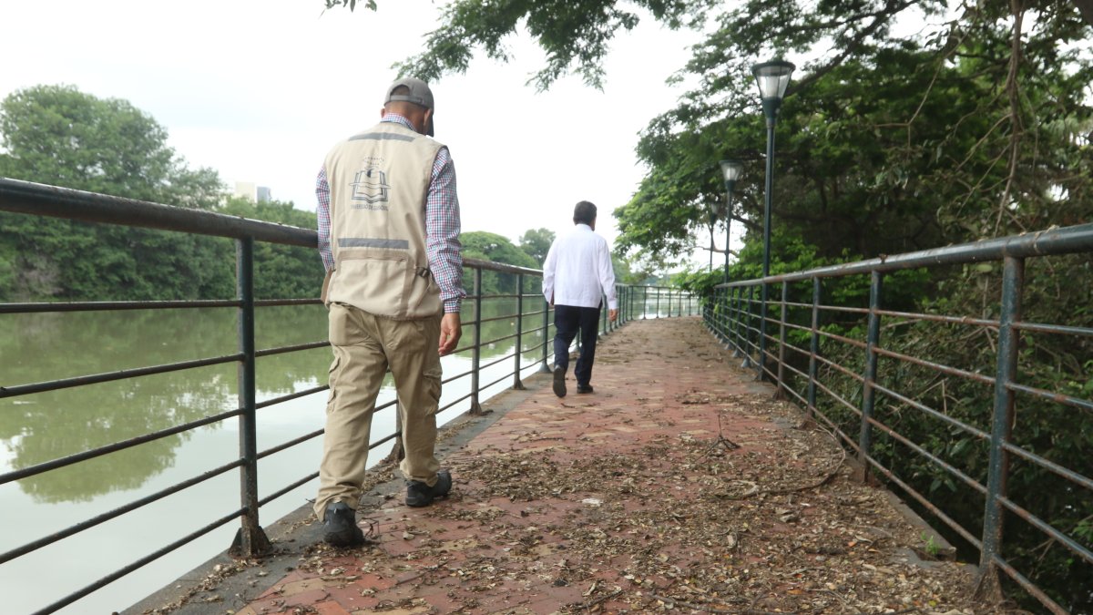 En algunos tramos del Malecón Universitario hay gran cantidad de hojas secas que caen de los árboles, frutos en descomposición y heces de iguanas y pájaros que emanan malos olores.