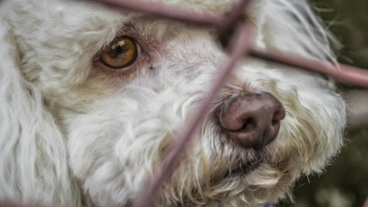 El canciller escribió que 