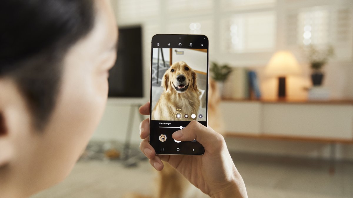 Fotografía. El nuevo modo Retrato de Galaxy S22/S22+ ayuda a evitar que el pelo de las mascotas se mezcle con el fondo, para que el usuario siempre consiga la mejor foto.