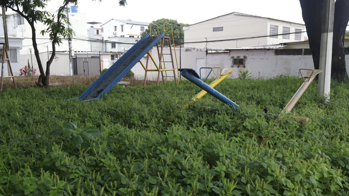 Los parques se encuentran llenos de maleza