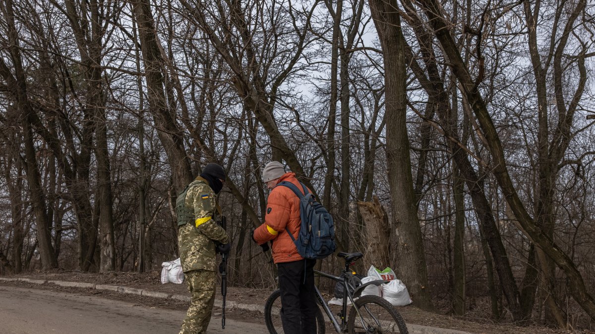 Un integrante de las Fuerzas Territoriales de Defensa comprueba la documentación de una persona en una carretera al este de Kiev.