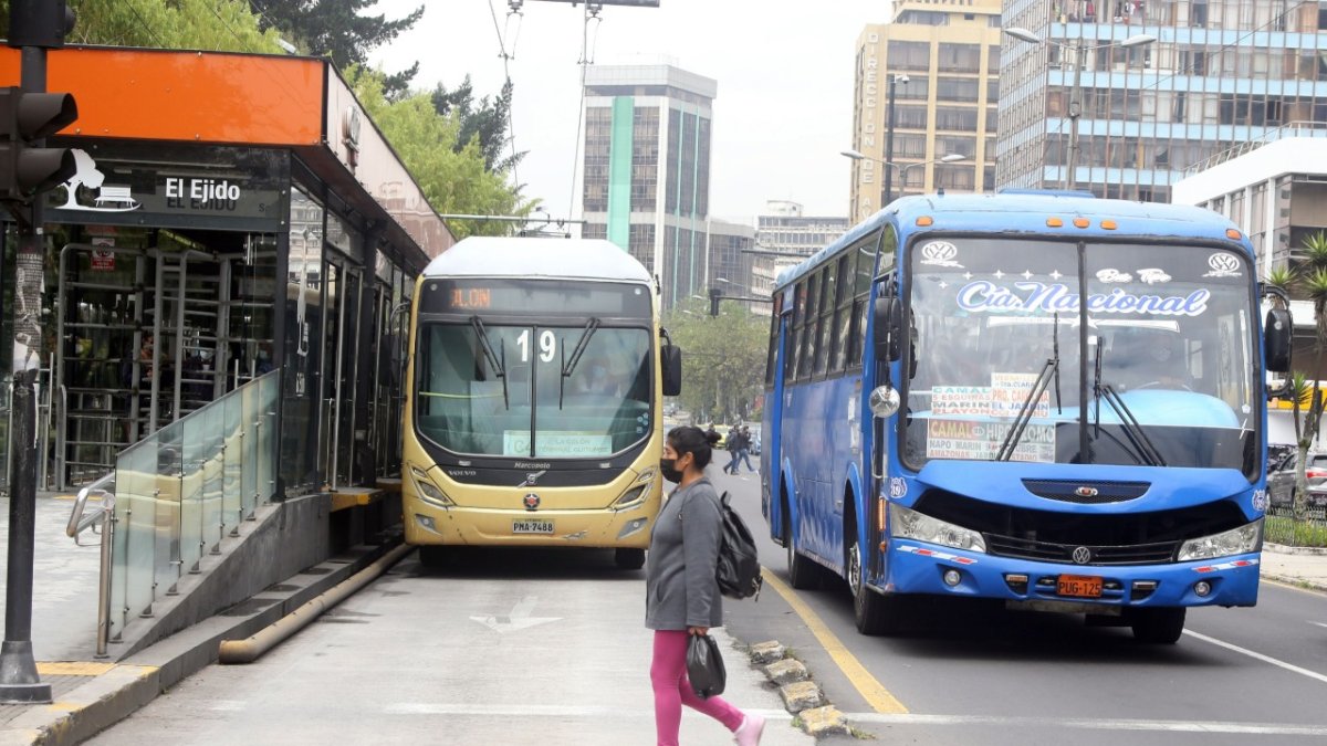 El transporte municipal está conformado por troles, articulados y biarticulados.