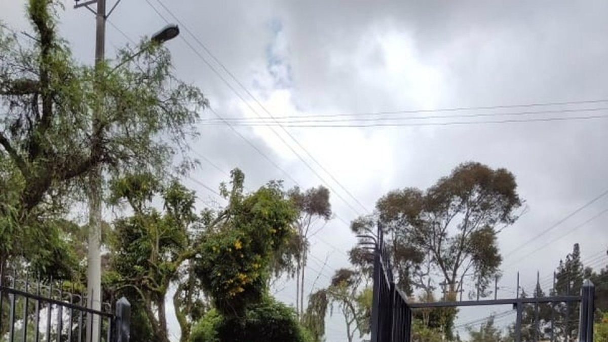 Acto. Miembros de control del Municipio retiraron las puertas del conjunto.