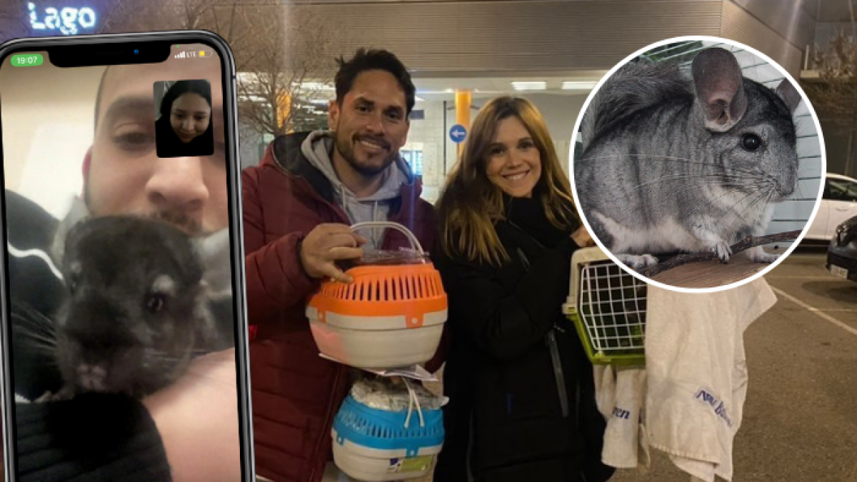 El día en que Eduardo y Ana, familiares de Érica, recibieron a las mascotas en España.