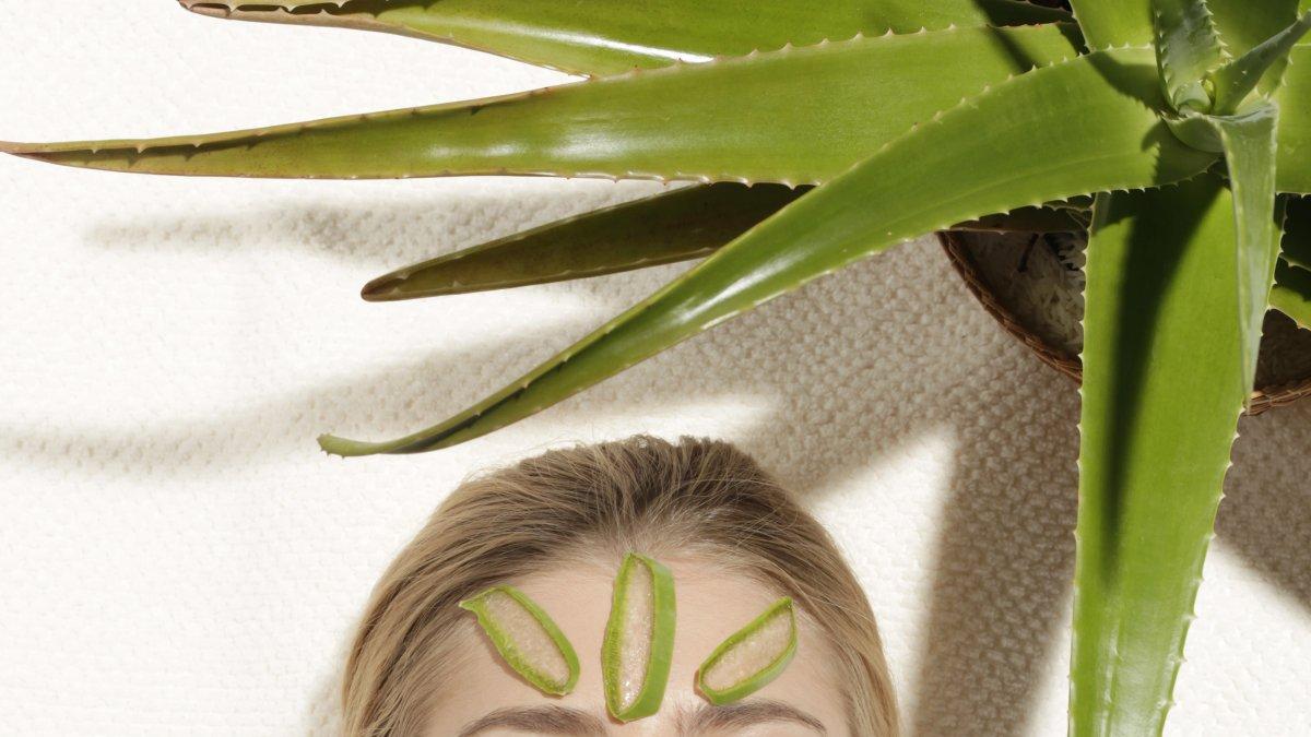 Beneficios del aloe vera.