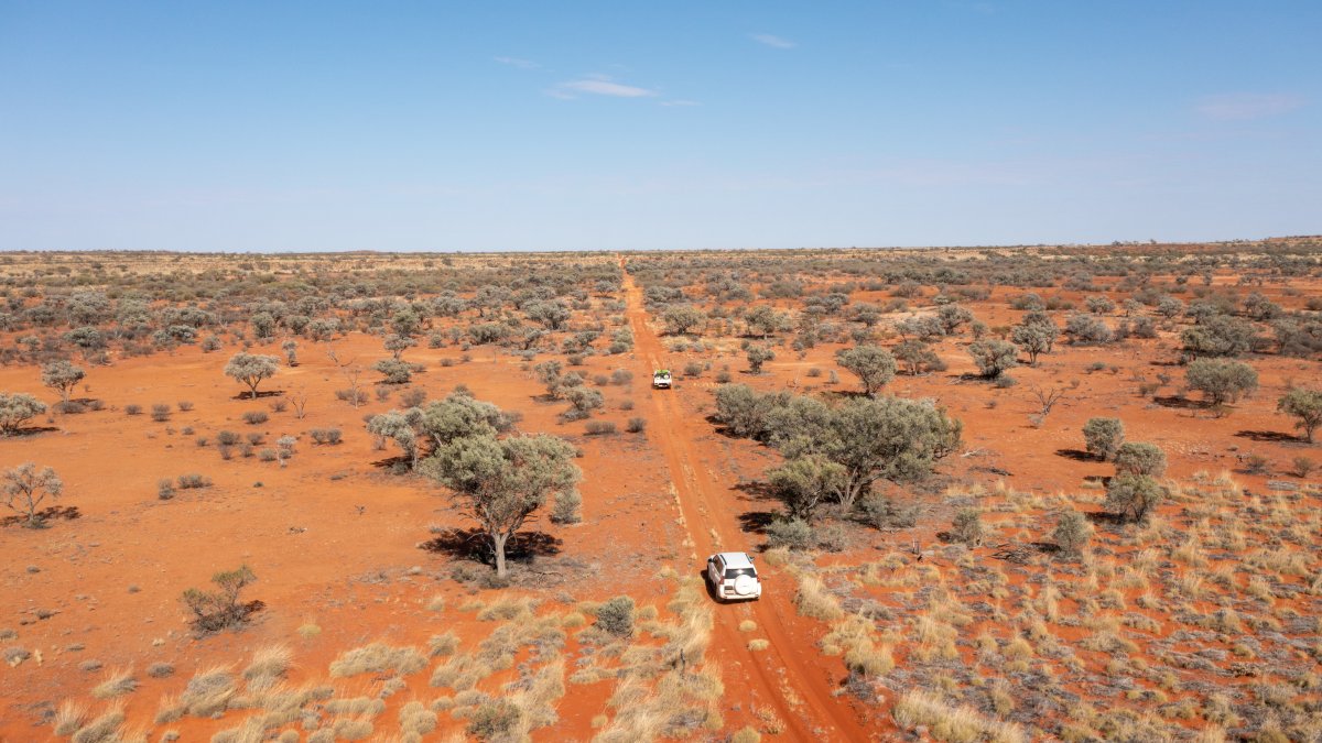 Los ecologistas intentan que los paisajes quemados y destruidos vuelvan a reverdecer, también con la ayuda de drones. Foto: Peter Wallis /