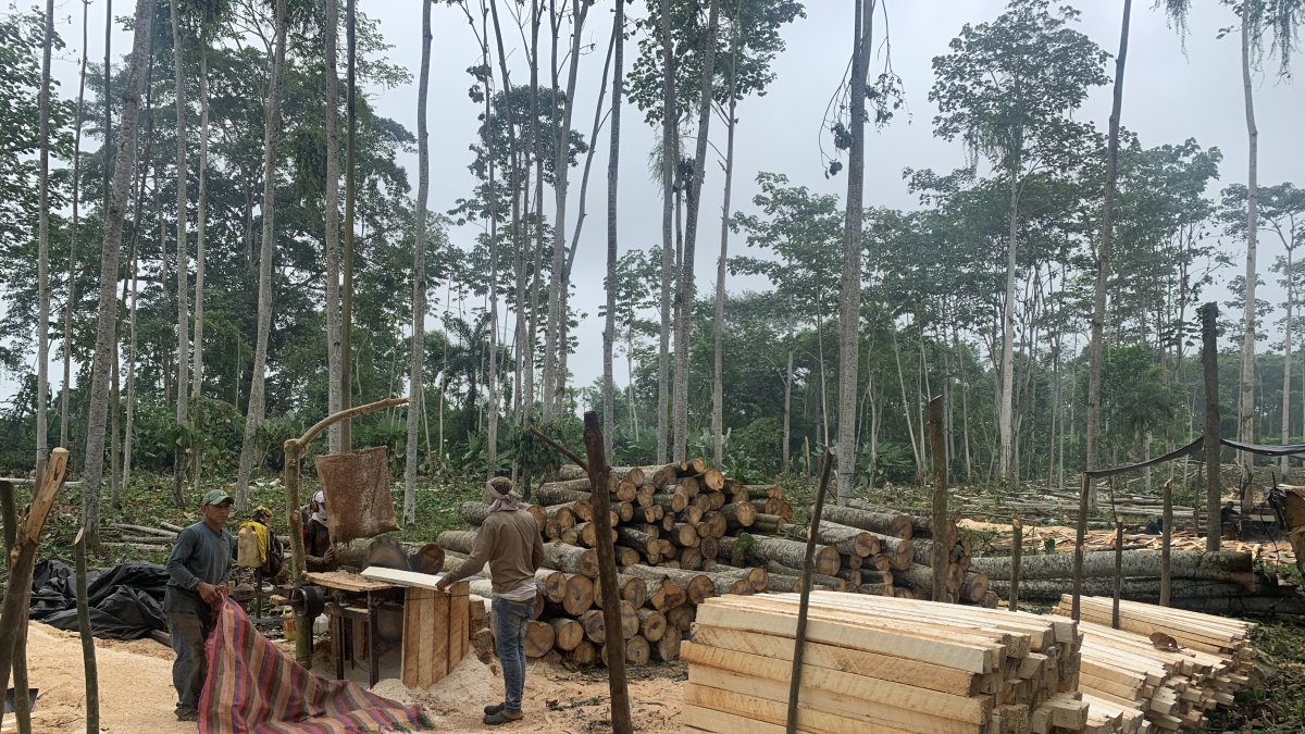 El sector terminó el 2021 con una facturación que alcanza los $ 600 millones, un 30 % menos que el año previo.