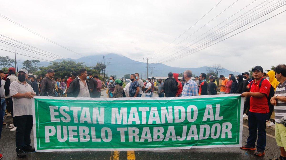 Los productores piden al Gobierno intervenir con compras, para evacuar la sobreoferta.