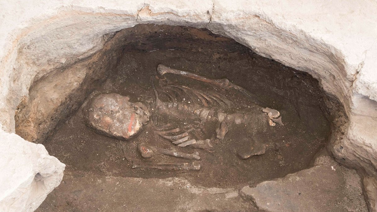 Esqueleto de un individuo masculino de entre 35 y 50 años con pintura bermellón en el cráneo.