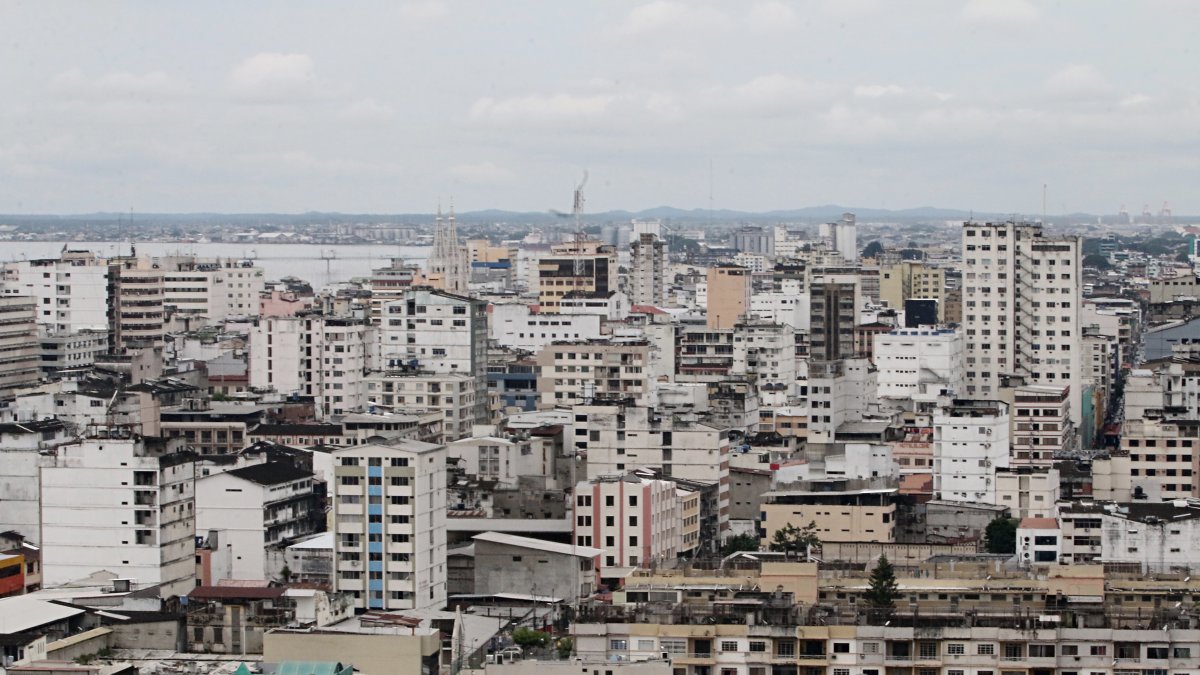 La ciudadanía espera que a sus sectores aterricen no solo las áreas verdes, sino que los árboles se multipliquen. Ya no quieren una ciudad gris.
