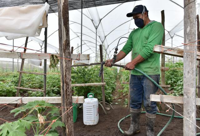 The farmer looks at options for fertilizing