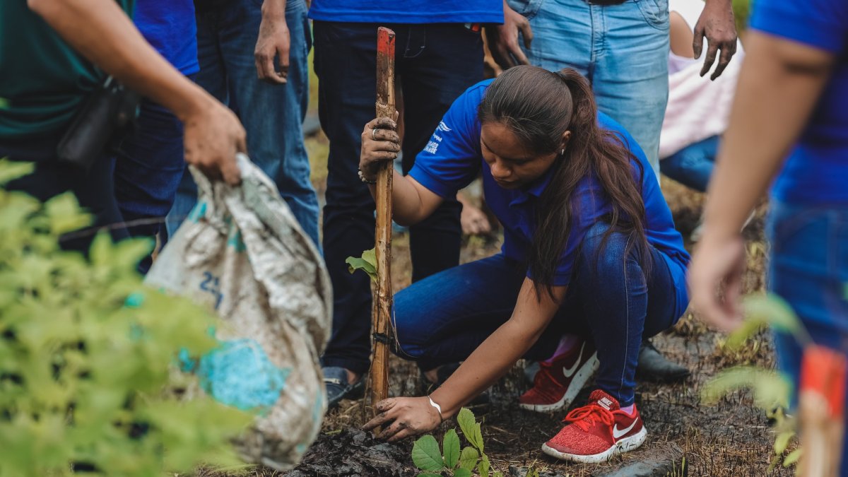 Acción. La siembra de las especies se dio en áreas naturales de la urbe.