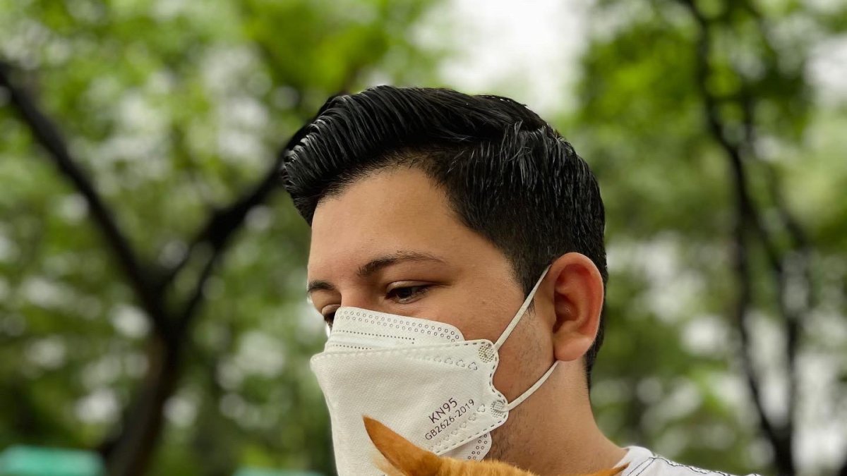 Adopción. Cinco perros y dos gatos encontraron nuevos hogares.