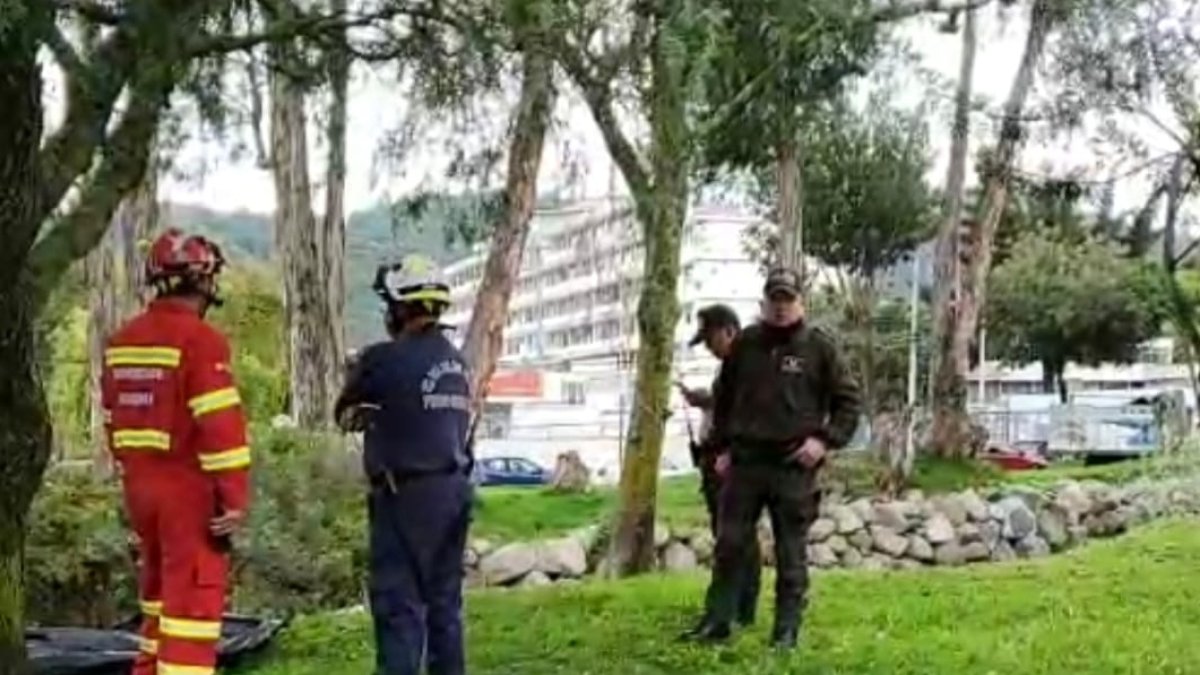 La víctima aúno no ha sido identificada y según los primeros datos, se trataría de un suicidio