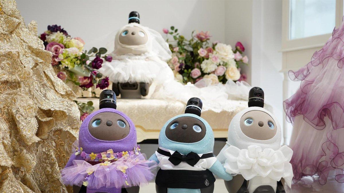 Los propietarios del robot afectivo Lovot cuentan desde este miércoles con una pionera zona de reunión para socializar con otros interesados en estos aparatos de compañía, en medio de un auge de la demanda de esta tecnología por la pandemia.