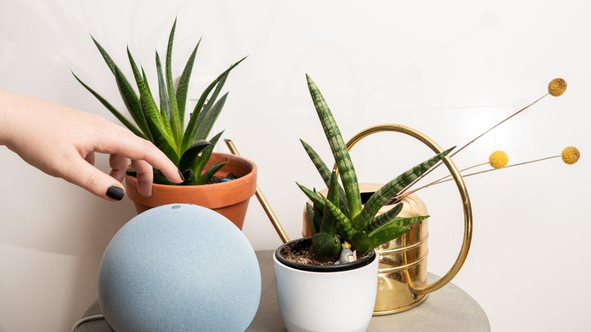 Altavoces inteligentes son de un diseño que pueden confundirse con elementos decorativos del hogar.