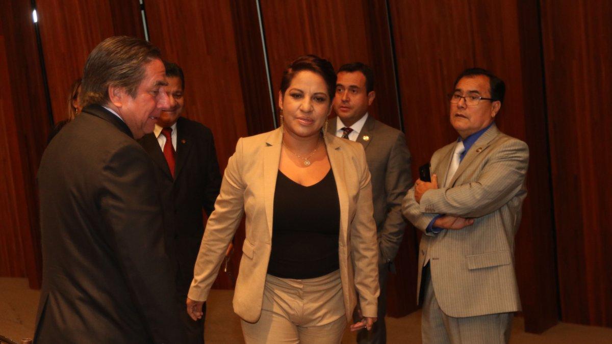 Carrión fue legisladora en dos periodos consecutivos con el movimiento Alianza PAIS.