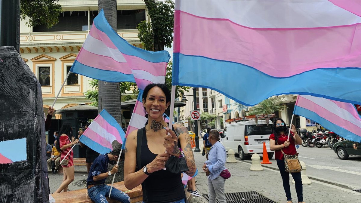 Fotografías cedidas por el colectivo LGTBI de manifestaciones donde solicitaron al Gobierno que garantice el derecho a la vida de las personas trans.