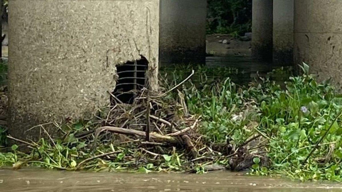 Esta es la estructura que conecta a Daule con Guayaquil, y se encuentra cerca del sector de Pascuales.