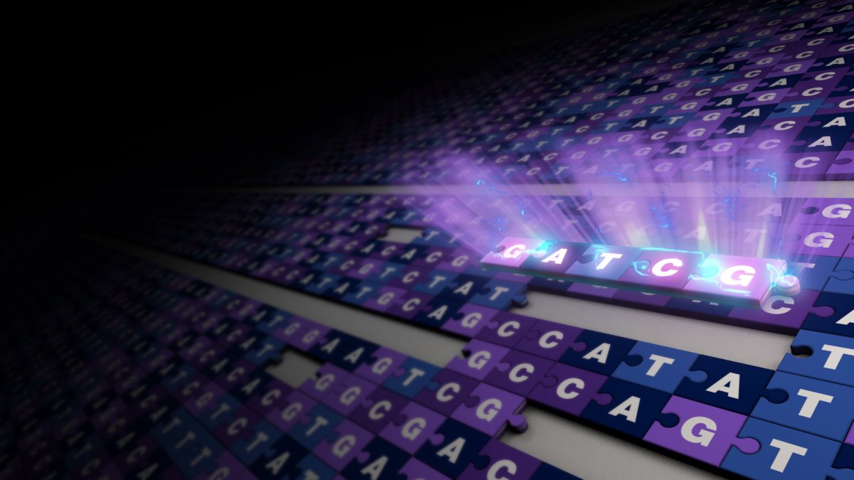 Los científicos han publicado la primera secuencia completa y sin fisuras de un genoma humano, dos décadas después del primer borrador. Ernesto del Aguila  /EFE