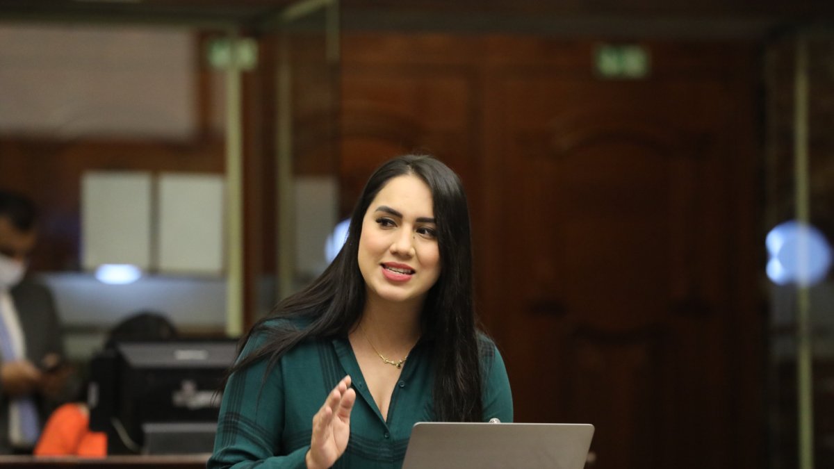 La asambleísta Johanna Moreira propuso ante el pleno del legislativo que se remita la documentación a la Corte Constitucional, por ser la única instancia que resuelve problemas de inconstitucionalidad