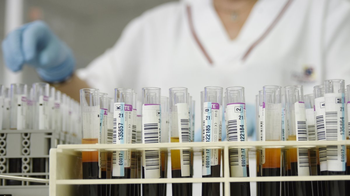 Tubos con muestras de sangre, en una imagen de archivo.