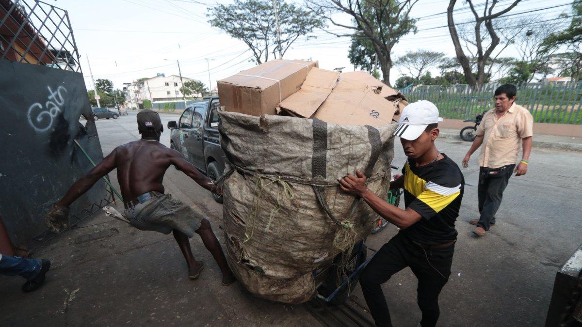 Tiempos. Para los recicladores no hay horarios ni horas extras, solo mucho material por recolectar.