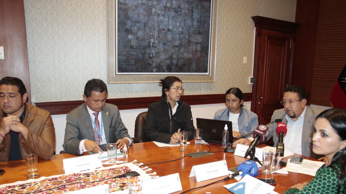 El 6 de abril de 2022, el CAL votó a favor del pedido de apelación a la presidencia de Guadalupe Llori.