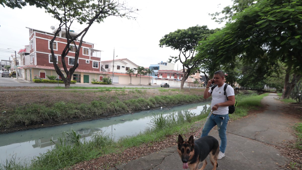 Los vecinos de Urbanor se han cansado de pedir al Cabildo intervenir el canal de aguas lluvias que permanece con moho y huele mal. En las noches es un punto vulnerable a los robos.