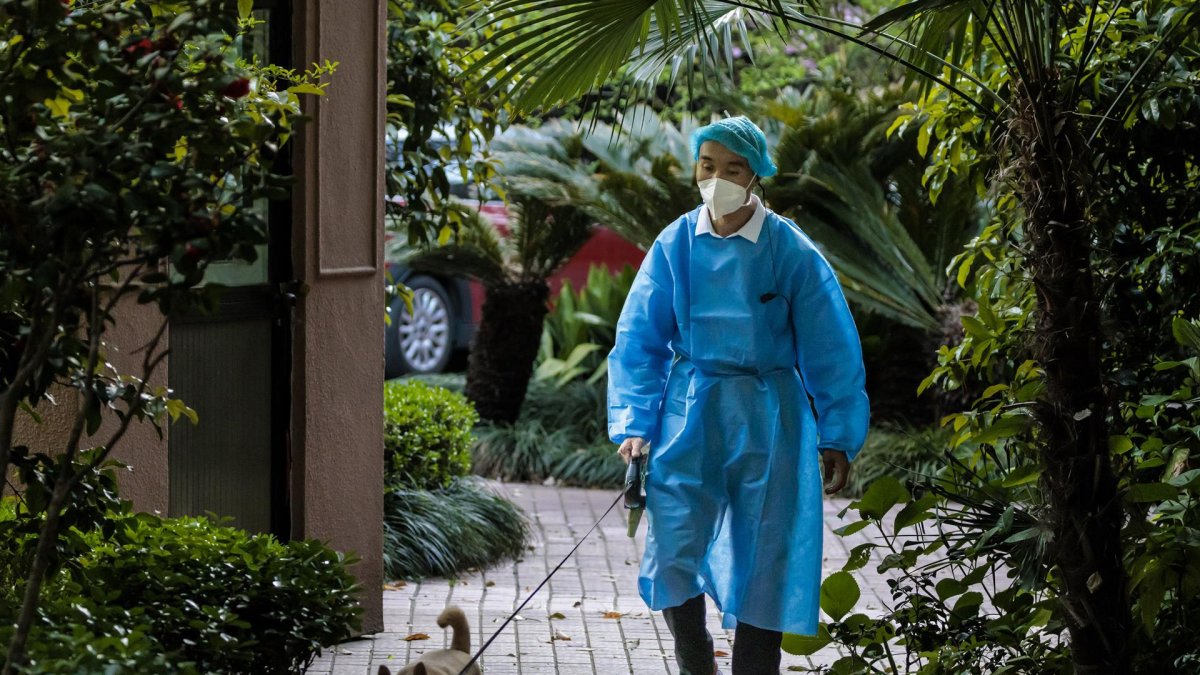 Un miembro de seguridad pasea a un perro encerrado en una comunidad residencial bajo cuarentena en Shanghai, China.